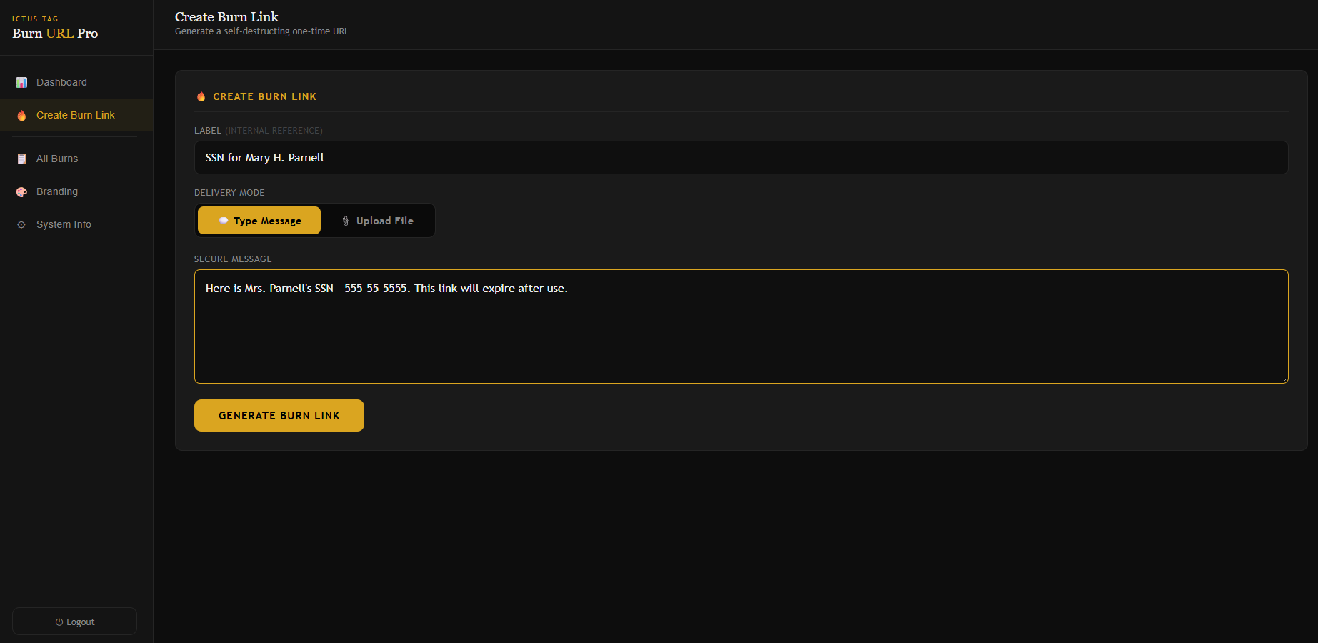 Secure Message Burner Console